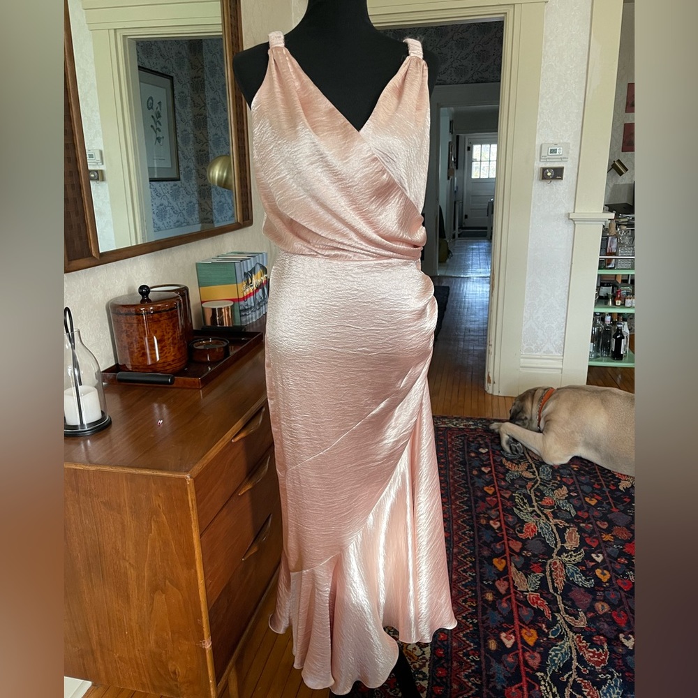 Maria Lucia Hohan dress